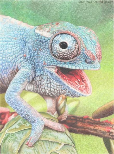 Pin By 赵一顺 On Sketch Chameleon Drawing Chameleon Drawing