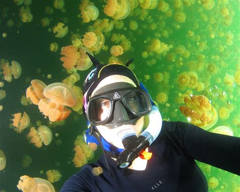 This Is A Self Portrait I Took In Jellyfish Lake Years Ago At