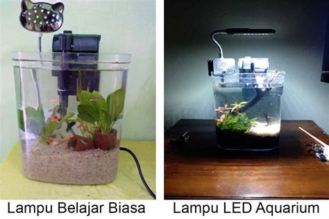 Cara membuat lampu hias dari sendok plastik lamp sumber : CARA MEMBUAT AQUASCAPE MINI DARI TOPELES BEKAS - Nano ...