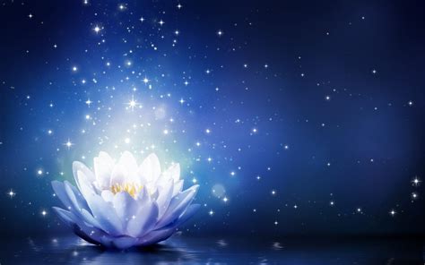 Lotus Flower Meaning And Symbolism Mythologian