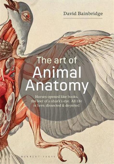 Art Of Animal Anatomy All Life Is Here Dissected And Depicted By