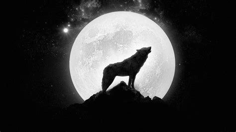 Wolf Moon Wallpapers Bigbeamng