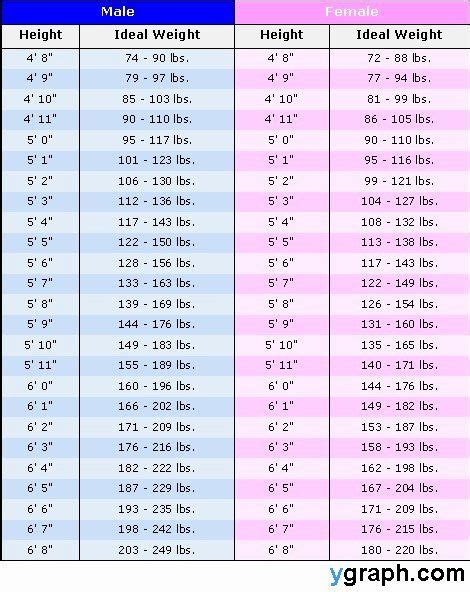 Height Chart In Inches New Weight Height Chart Weightheightchart Ygraph