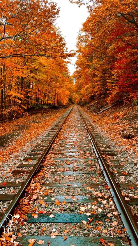 Autumn Railroad Tren