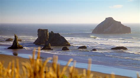 10 Top Things To Do In South Oregon Coast 2022 Activity Guide Expedia