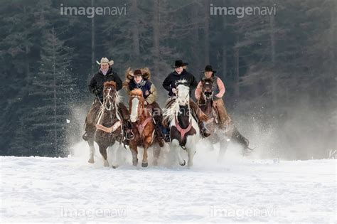 カウガール カウボーイ 騎手 ウマ 馬術 ギャロップ 冬 の画像素材59151157 写真素材ならイメージナビ