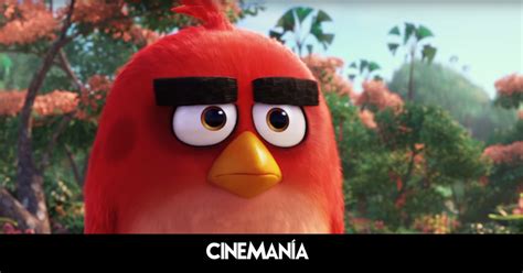 Angry Birds La Película Tiene Nuevo Tráiler