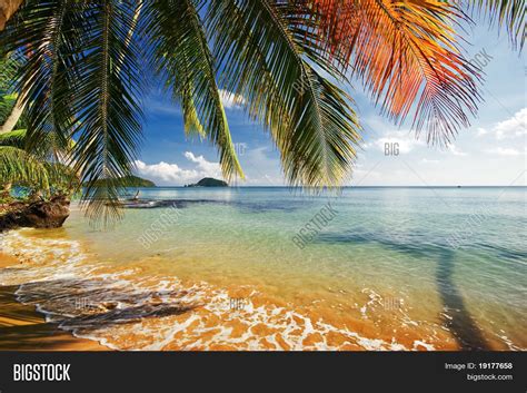 Exotic Tropical Beach Image And Photo Free Trial Bigstock