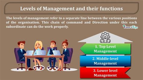 Levels Of Management And Their Functions Tutors Tips