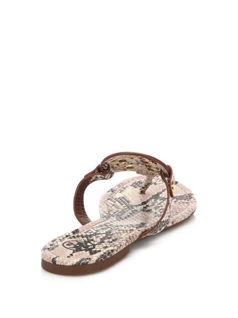 Lyst Tory Burch Miller Snake Embossed Leather Logo Thong Sandals In
