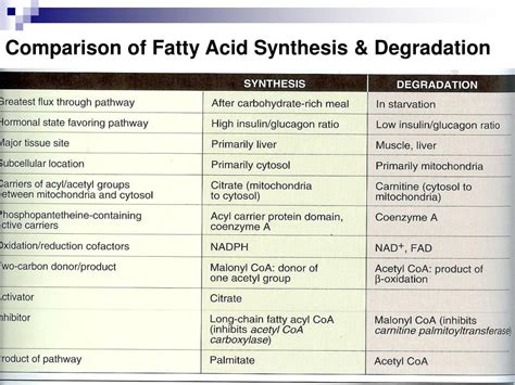 Fatty Acid Synthesis