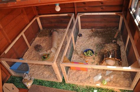 12 Guinea Pig Cage Plans You Can Diy Today Pet Keen