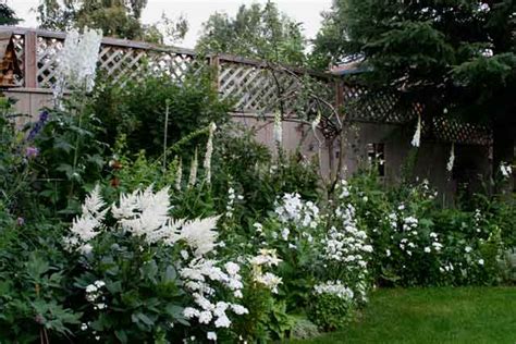 Lavender Garden Cottage 15 Blooms For A White Garden