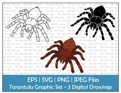 Stamp Drawing Tarantula Vector Clipart Outline Art Images Coloring