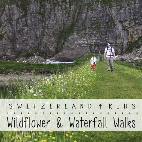 10 Wildflower And Waterfalls Walks For Kids In Switzerland Swiss Miss