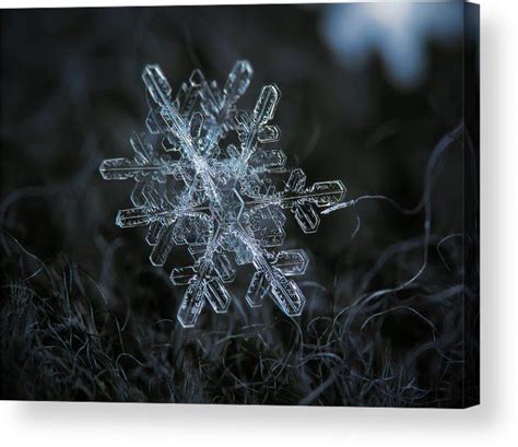 Snowflake Of January 18 2013 Acrylic Print By Alexey Kljatov Снежинки
