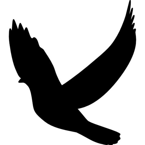 Bird Columbidae Rock Dove Silhouette Pigeon Png Download 512512