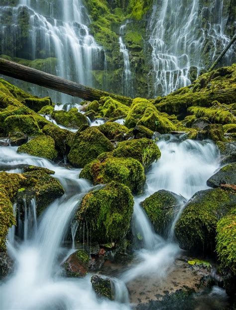 Proxy Falls Oregon Mountain Landscape Photography Beautiful Nature