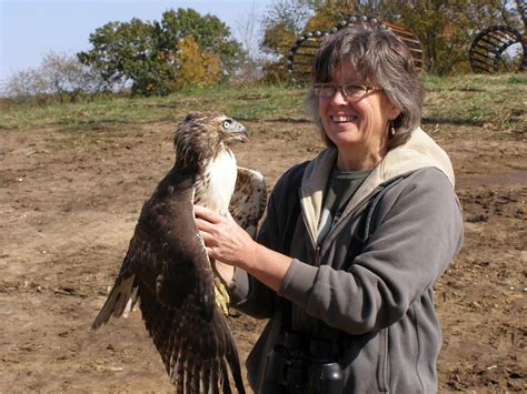 Learn more about phoenix dog/cat/bird hospital and what makes us uniquely suited to meet your pet's needs. All You Need To Know About The Greek Mythological Bird ...
