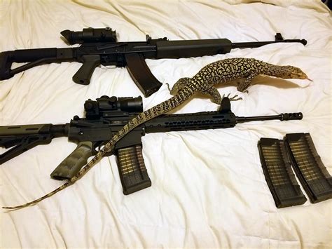Snake Guns Are Back Seen In Gun World Magazine Rguns