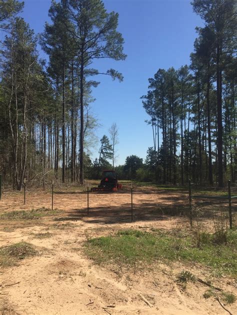 North Benton Tract of Bossier Parish, +/- 628 Acres - Mossy Oak