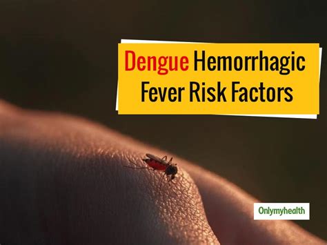 While recovering from dengue fever, drink plenty of fluids. Risk Factors for Dengue Hemorrhagic Fever, Explains Dr ...
