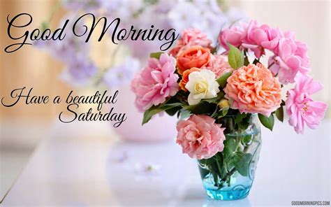 You can take a day off to refuel your life with gratitude and positive energy so that you can enjoy your weekend with a smile on for you, we have put together an awesome collection of happy saturday morning images, wishes and quotes. Good Morning! Have a Beautiful Saturday | goodmorningpics.com