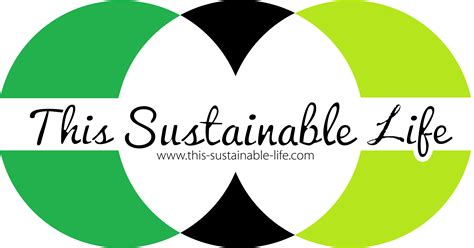 Reflection on the concept of sustainability - this sustainable life.