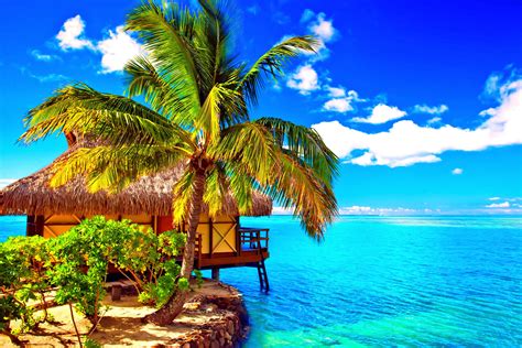 🔥 download tropical beach bungalow by diamondh95 beach bungalow wallpapers bungalow