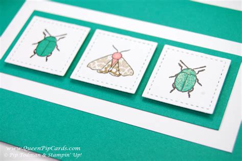 Buy Beetles And Bugs By Stampin Up Today Queen Pip Cards
