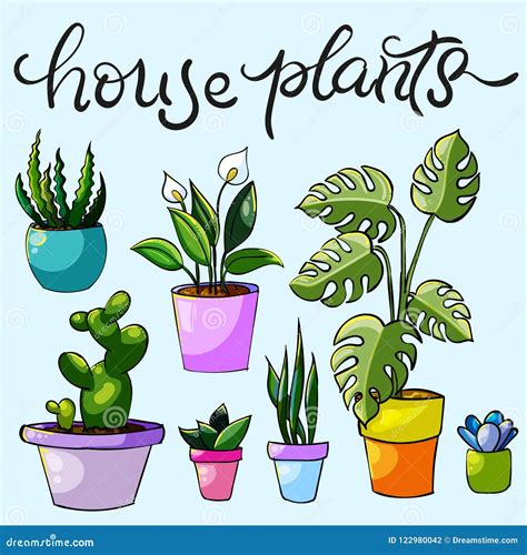 Set Of House Plants And Flowers Stock Illustration Illustration Of