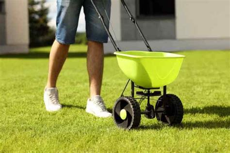 How Often To Water New Grass Seed A Complete Guide