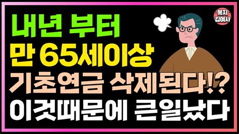 내년부터 만 65세 이상 기초연금 삭제된다 이것 때문에 65세 이상 큰일났습니다 꼭 확인해보세요 Youtube