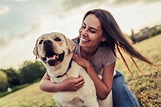 Man’s Best Friend: 7 Interesting Facts About Dogs - Lifestyle