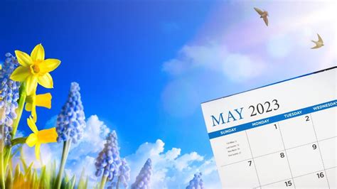 Important Days In May 2023 The Official Complete List Here The Wfy