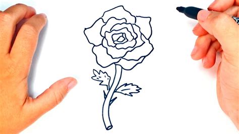 Cómo Dibujar Una Rosa Paso A Paso Dibujo Fácil De Rosa