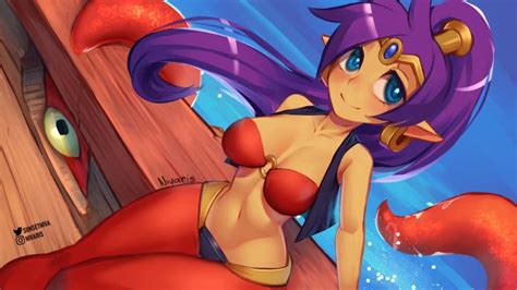 Shantae Tentacles Voyage Sunset Nivaris Brush Brothel
