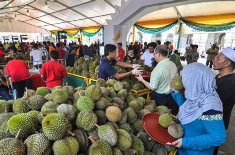 Interviews blight and helps uncover this towering figure that blight calls thoroughly and beautifully human. Penangites, Get Ready To Eat All The Durians In The World ...