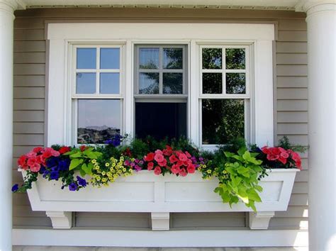 While it is possible to keep full sun plants alive in areas that get less than six hours of direct light a day, the results aren't as good. Flower Boxes That Thrive in the Sun | Window box flowers ...