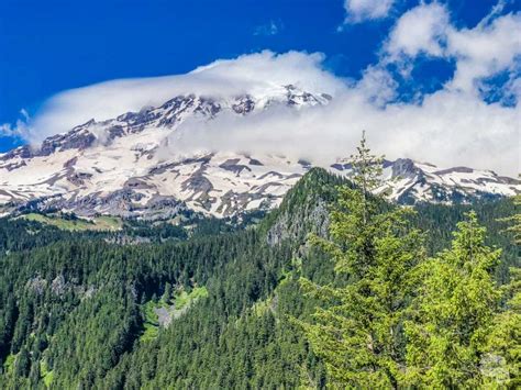Three Days Immersed In Mt Rainier National Park Our Wander Filled Life
