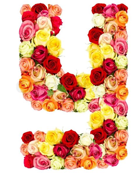 L'entraxe entre 2 points d'un même caractère (horizontalement ou verticalement) doit être de. Y, roses flower alphabet | Stock image | Colourbox