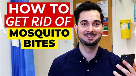 Mosquito Bites How To Get Rid Of Mosquito Bites Youtube