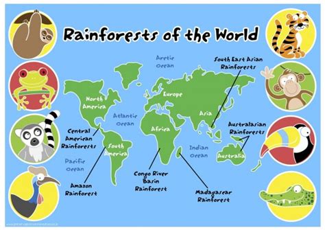 Learn about deforestation rates and other land use practices, forest fires, forest communities, biodiversity and much more. Rainforests of the World Map Pack | PCR00954-GRP - Primary ...