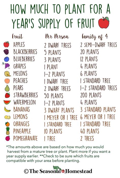 How Much To Plant For A Years Supply Of Fruit The Seasonal Homestead