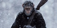 Kingdom of the Planet of the Apes Sets 2024 Release Date