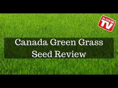 Grass starts growing in just 5 days. crops and seed: Planting Grass Seed In Canada