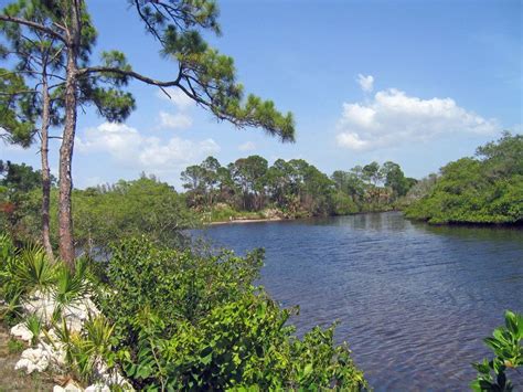 The estero bay aquatic preserve was the first aquatic preserve designated under florida statutes, in 1966, and the department of environmental in january 1, 2004, the preserve became known as the estero bay preserve state park and is managed in conjunction with koreshan state historic site. LIVING SANIBEL: Charles Sobczak, Estero Bay Preserve State ...