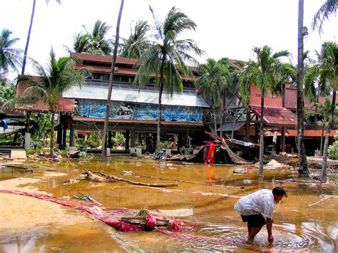 Frequently asked questions about tsunami memorial park. Man Digging to Recover Merchandise After Tsunami on Patong ...