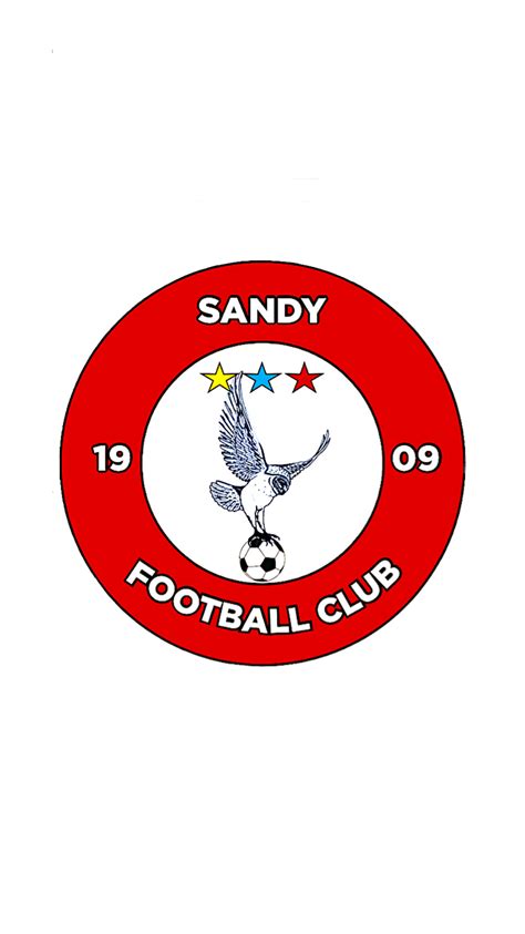 our teams and committee sandy football club