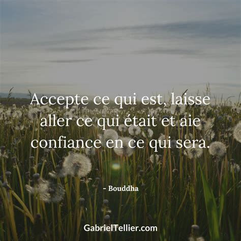 A Field Full Of Dandelions With The Quote Accepte Que Qui Est Lasse Alter